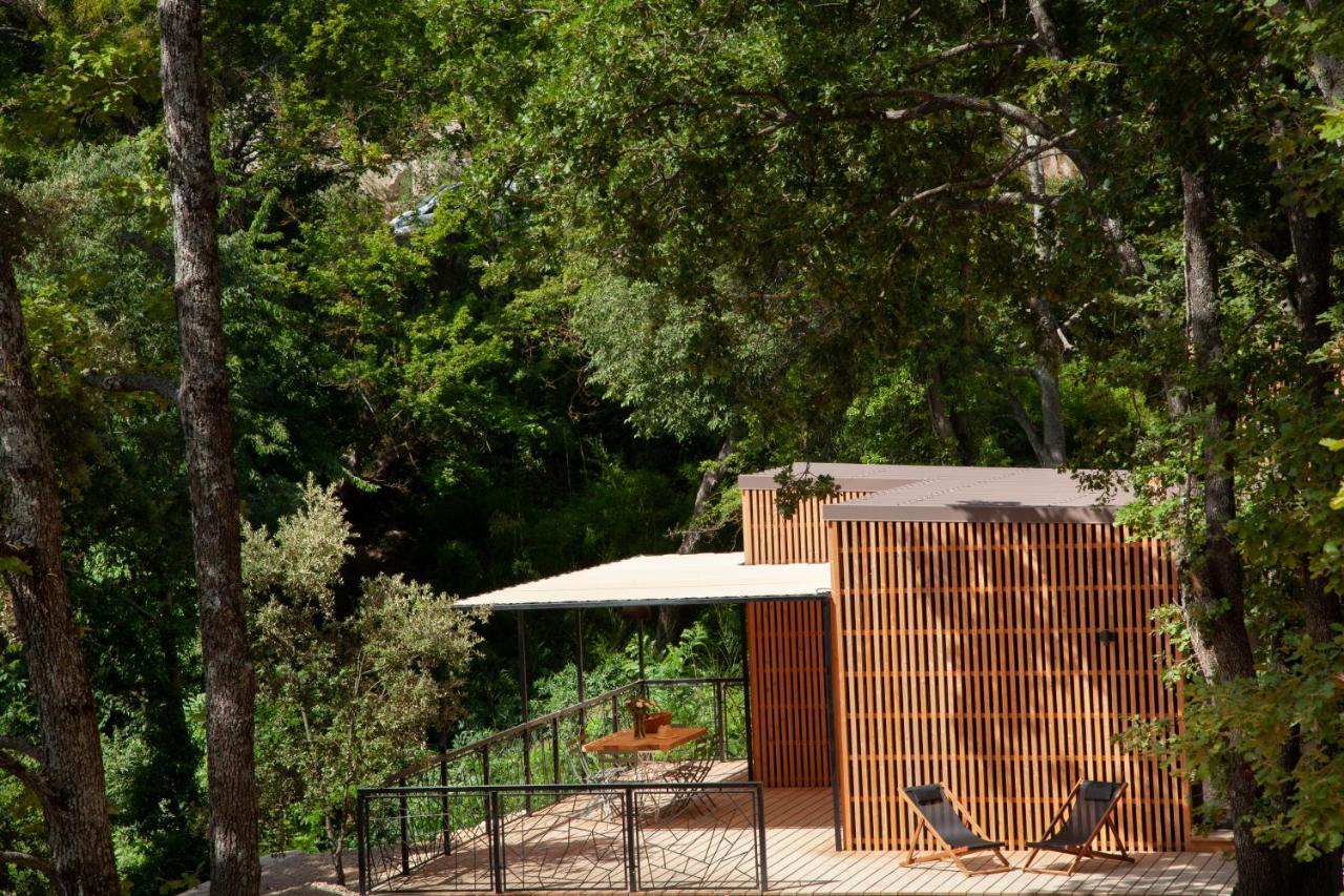 Les Cabanes De La Fontaine Lacoste  Exterior foto